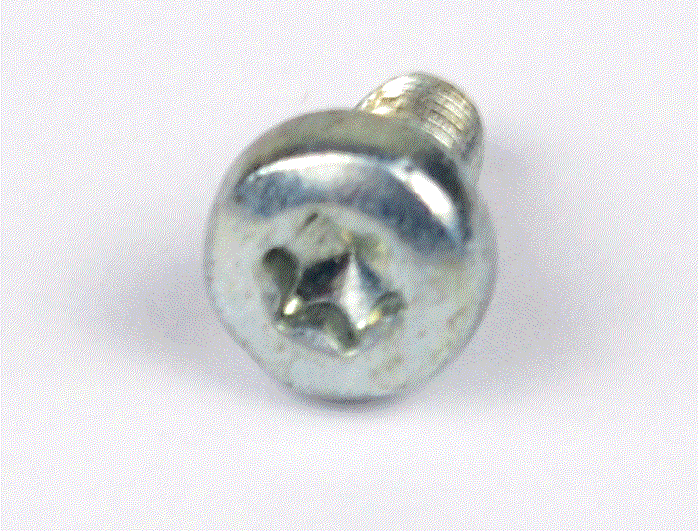 Bolt M3x6 Torx silver 10700790